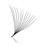 12D Pro-Made Fans 0.03mm Large box