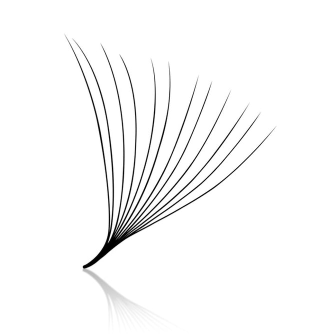 12D Pro-Made Fans 0.03mm Large box