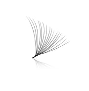 16D Pro-Made Fans 0.03mm Large box