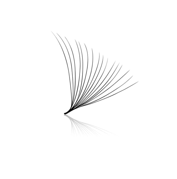 16D Pro-Made Fans 0.03mm Large box