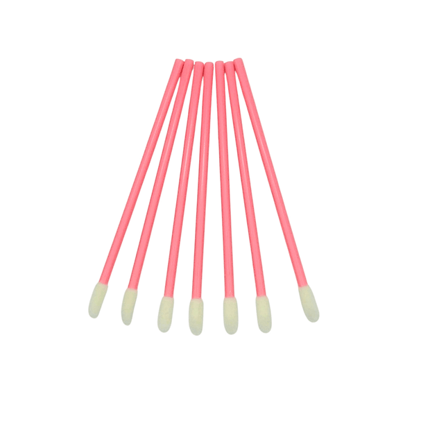 Disposable lip brushes